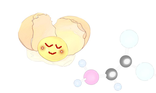 看望病人;鸡蛋;伤口愈合 看望病人;鸡蛋;伤口愈合