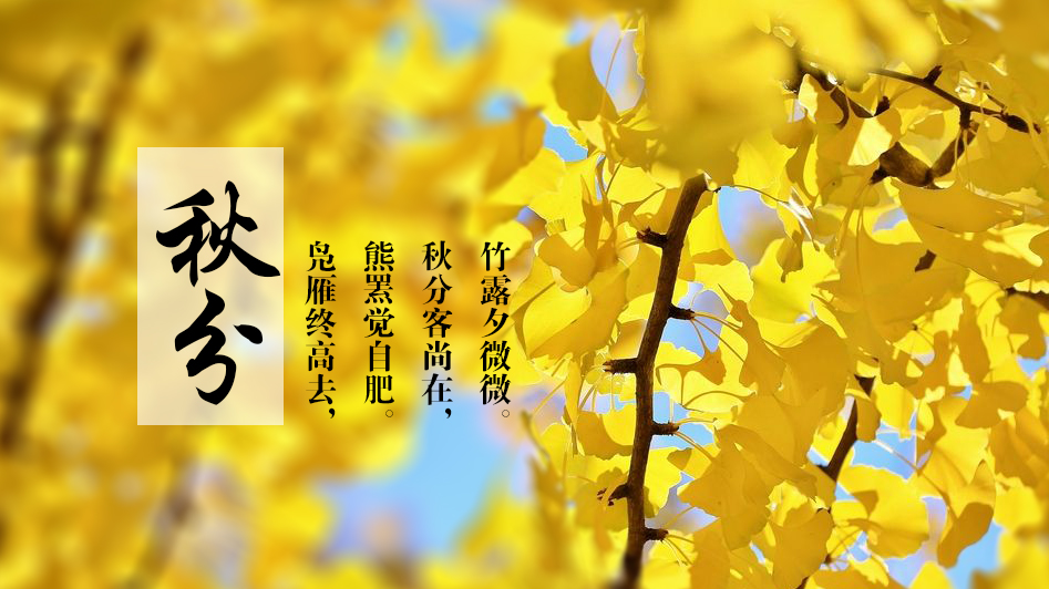 秋分丨日光夜色两均长 秋意正好秋趣正浓 
