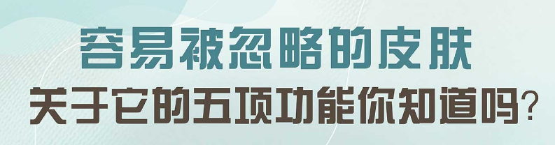 容易被忽略的皮肤 关于它的五项功能你知道吗？ 